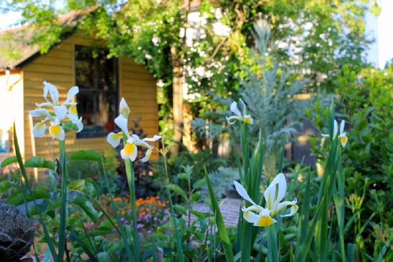 Whitstable Joy Lane Gardens